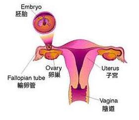 卵巢性不孕的危害有什么